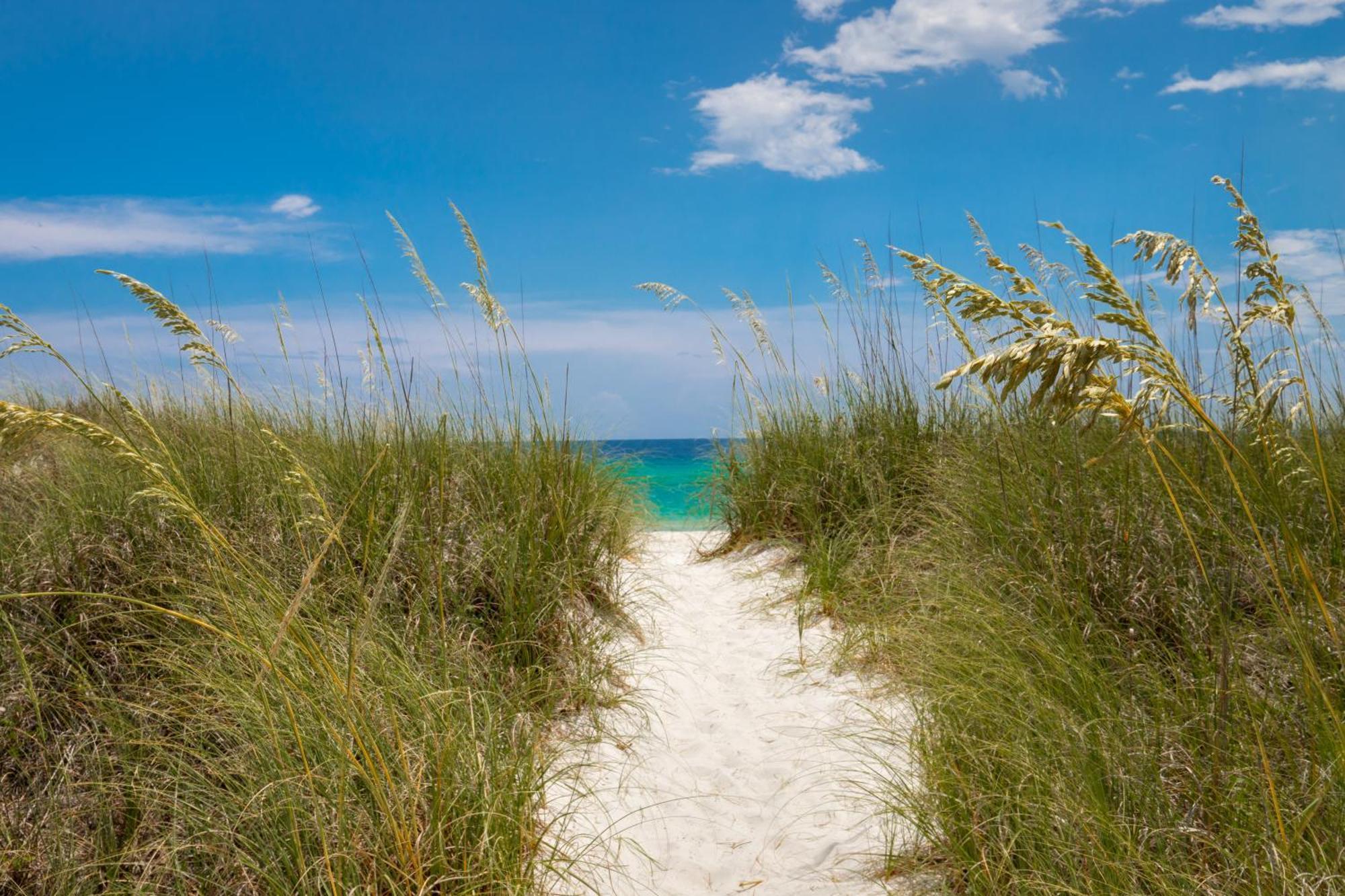 Remarkably Updated 3/2 In Seagrove Highlands - Gulf Views Sleeps 9! Santa Rosa Beach Exterior foto